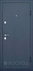Фото стальная дверь Дверь с зеркалом и шумоизоляцией №11 с отделкой Порошковое напыление