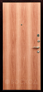 Металлическая дверь с гладким ламинатом №70 - фото №2